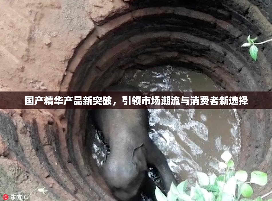 国产精华产品新突破，引领市场潮流与消费者新选择