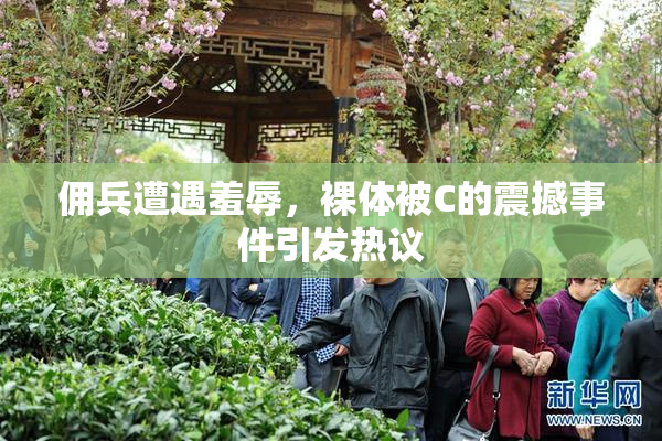 佣兵遭遇羞辱，裸体被C的震撼事件引发热议