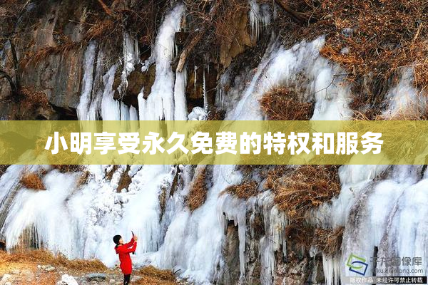 小明享受永久免费的特权和服务