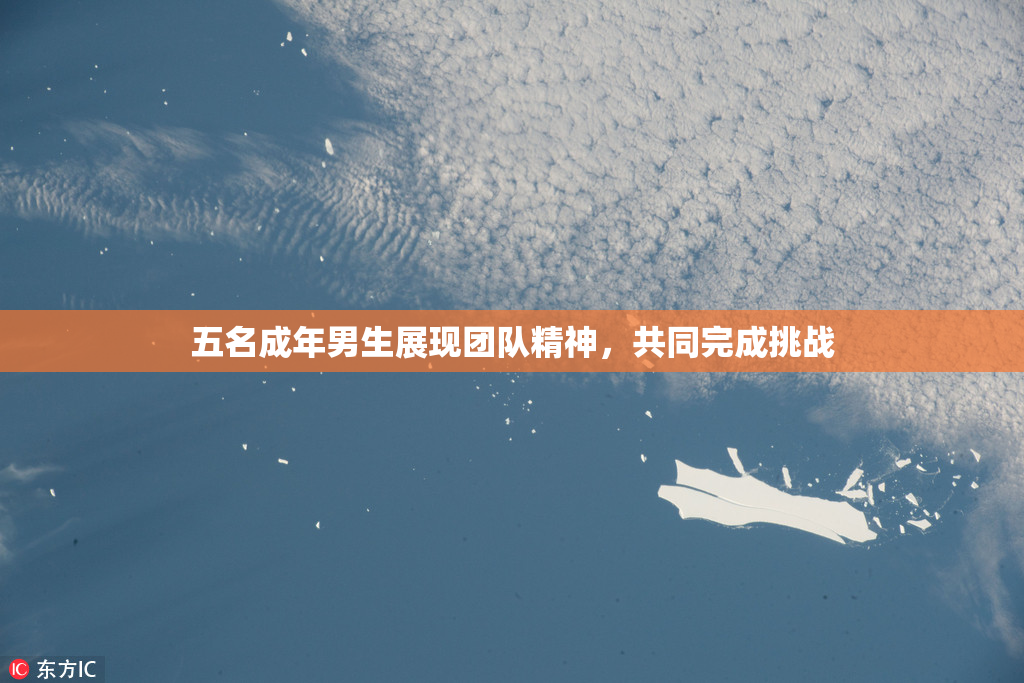 五名成年男生展现团队精神，共同完成挑战