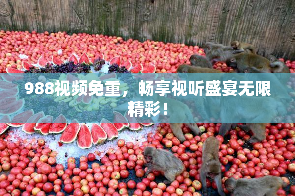 988视频免重，畅享视听盛宴无限精彩！