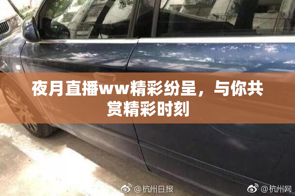 夜月直播ww精彩纷呈，与你共赏精彩时刻