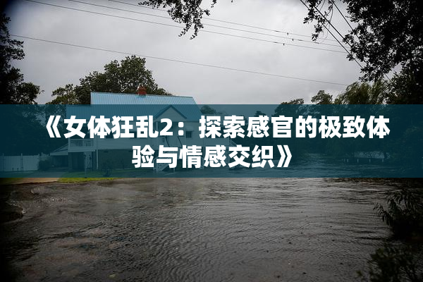 《女体狂乱2：探索感官的极致体验与情感交织》