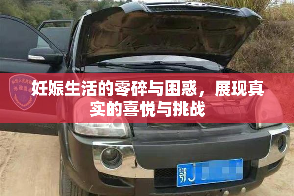 妊娠生活的零碎与困惑，展现真实的喜悦与挑战