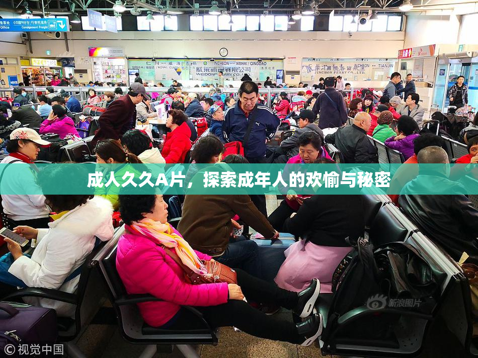 成人久久A片，探索成年人的欢愉与秘密