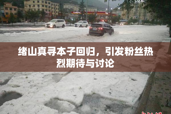 绪山真寻本子回归，引发粉丝热烈期待与讨论