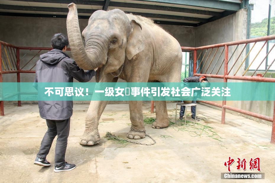 不可思议！一级女婬事件引发社会广泛关注