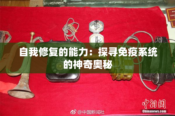 自我修复的能力：探寻免疫系统的神奇奥秘
