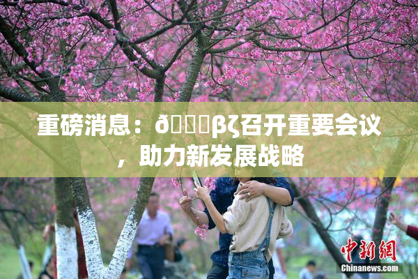 重磅消息：👙βζ召开重要会议，助力新发展战略