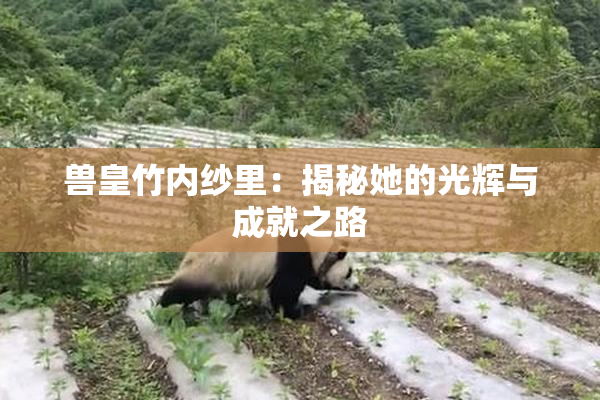 兽皇竹内纱里：揭秘她的光辉与成就之路