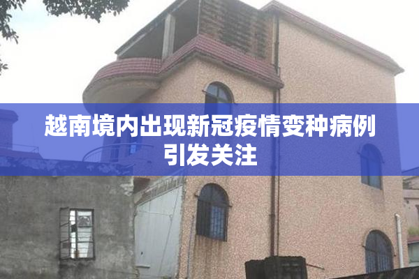 越南境内出现新冠疫情变种病例引发关注