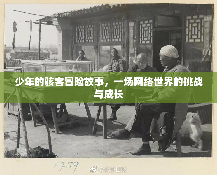 少年的骇客冒险故事，一场网络世界的挑战与成长