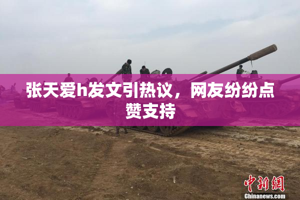 张天爱h发文引热议，网友纷纷点赞支持
