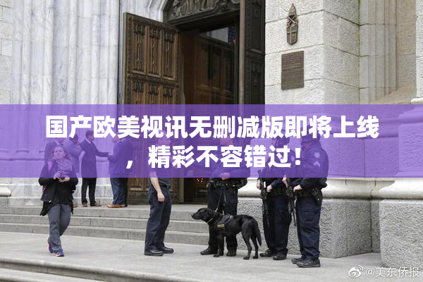 国产欧美视讯无删减版即将上线，精彩不容错过！