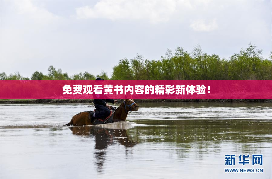 免费观看黄书内容的精彩新体验！