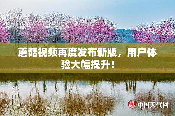 蘑菇视频再度发布新版，用户体验大幅提升！