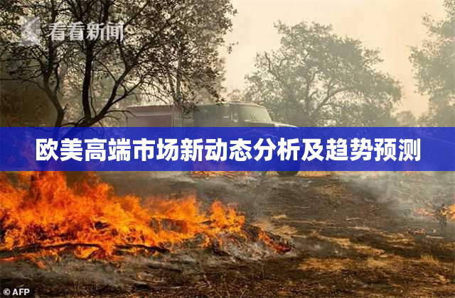 欧美高端市场新动态分析及趋势预测