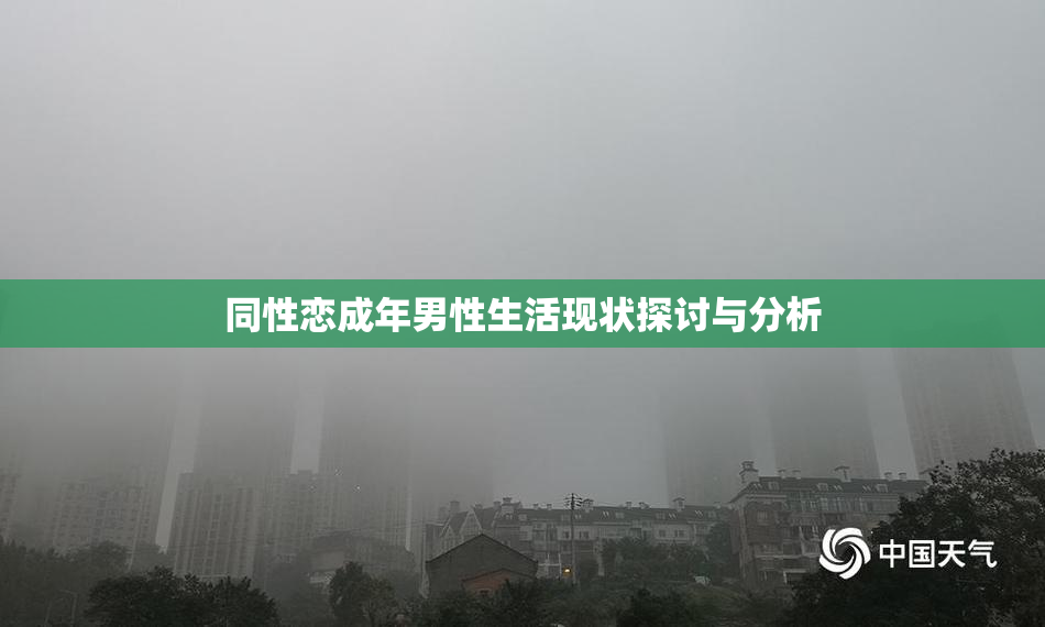 同性恋成年男性生活现状探讨与分析