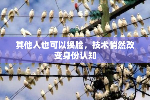 其他人也可以换脸，技术悄然改变身份认知