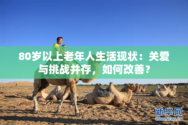80岁以上老年人生活现状：关爱与挑战并存，如何改善？