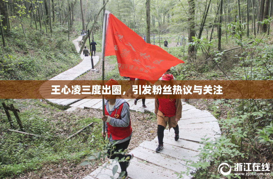 王心凌三度出圈，引发粉丝热议与关注