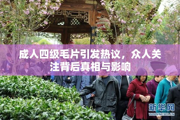 成人四级毛片引发热议，众人关注背后真相与影响