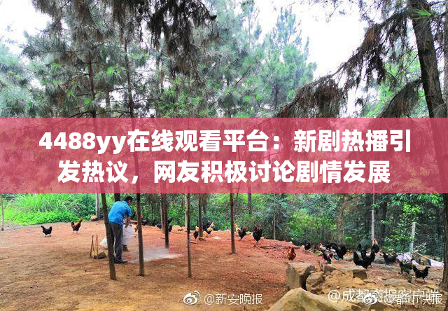 4488yy在线观看平台：新剧热播引发热议，网友积极讨论剧情发展
