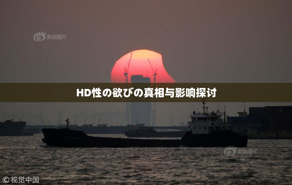 HD性の欲びの真相与影响探讨