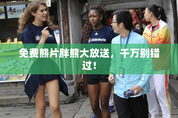 免费熊片胖熊大放送，千万别错过！