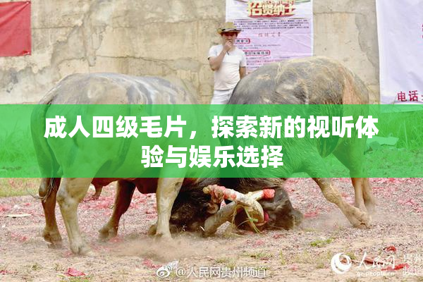 成人四级毛片，探索新的视听体验与娱乐选择