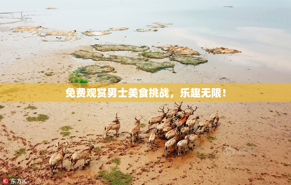 免费观赏男士美食挑战，乐趣无限！