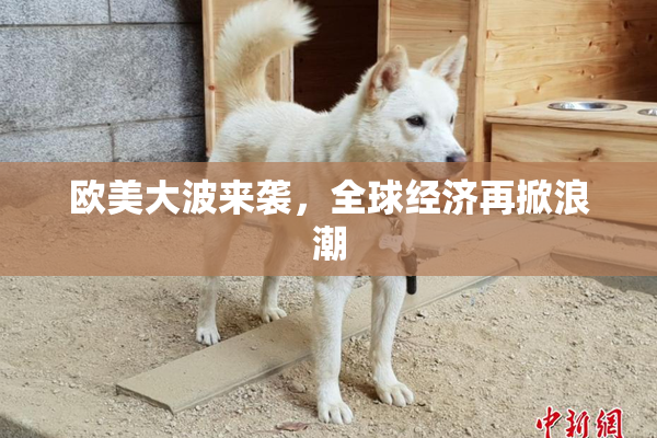 欧美大波来袭，全球经济再掀浪潮