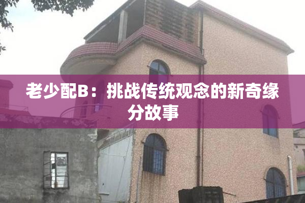 老少配B：挑战传统观念的新奇缘分故事
