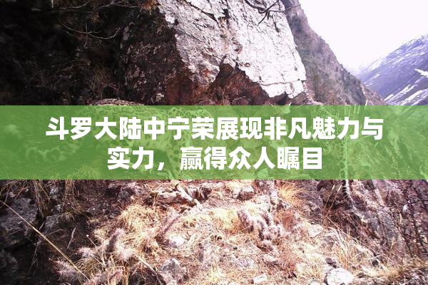 斗罗大陆中宁荣展现非凡魅力与实力，赢得众人瞩目