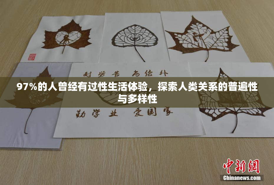 97%的人曾经有过性生活体验，探索人类关系的普遍性与多样性
