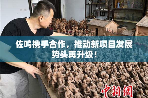 佐鸣携手合作，推动新项目发展势头再升级！