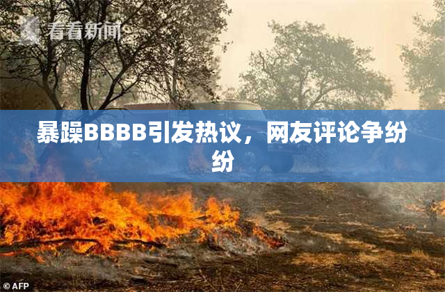暴躁BBBB引发热议，网友评论争纷纷