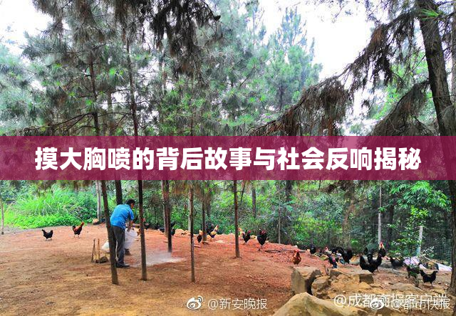 摸大胸喷的背后故事与社会反响揭秘
