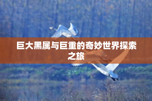 巨大黑属与巨重的奇妙世界探索之旅