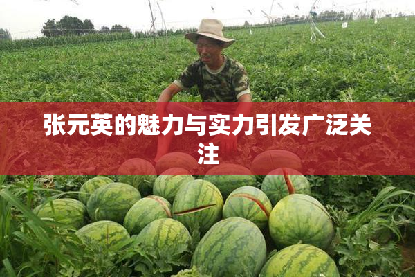 张元英的魅力与实力引发广泛关注