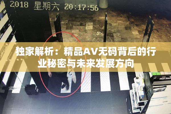 独家解析：精品AV无码背后的行业秘密与未来发展方向