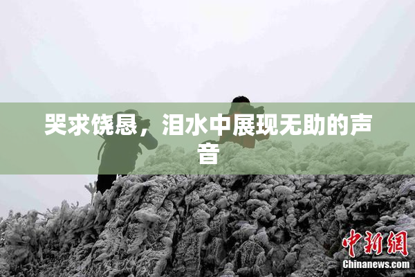 哭求饶恳，泪水中展现无助的声音