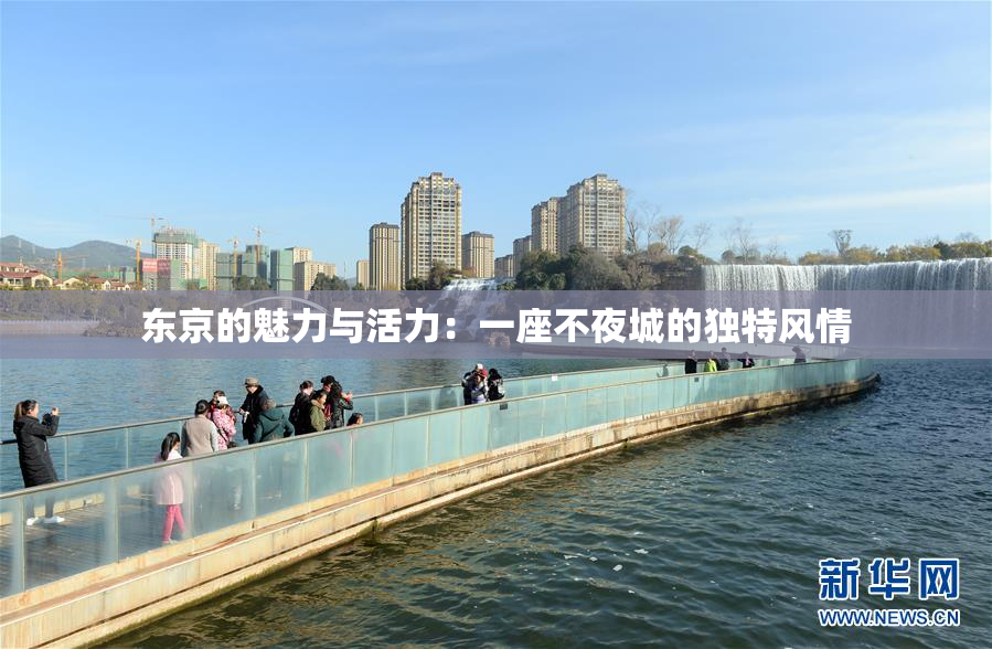 东京的魅力与活力：一座不夜城的独特风情