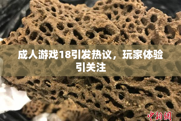 成人游戏18引发热议，玩家体验引关注