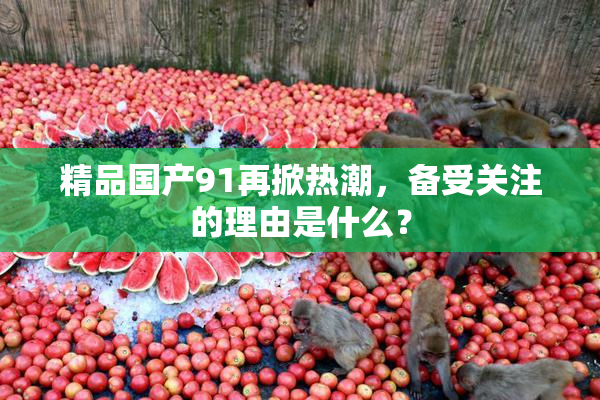 精品国产91再掀热潮，备受关注的理由是什么？