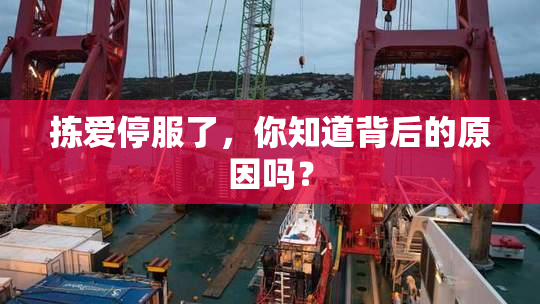 拣爱停服了，你知道背后的原因吗？