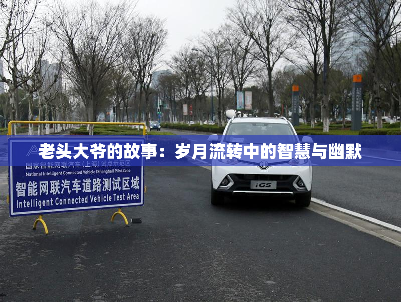 老头大爷的故事：岁月流转中的智慧与幽默