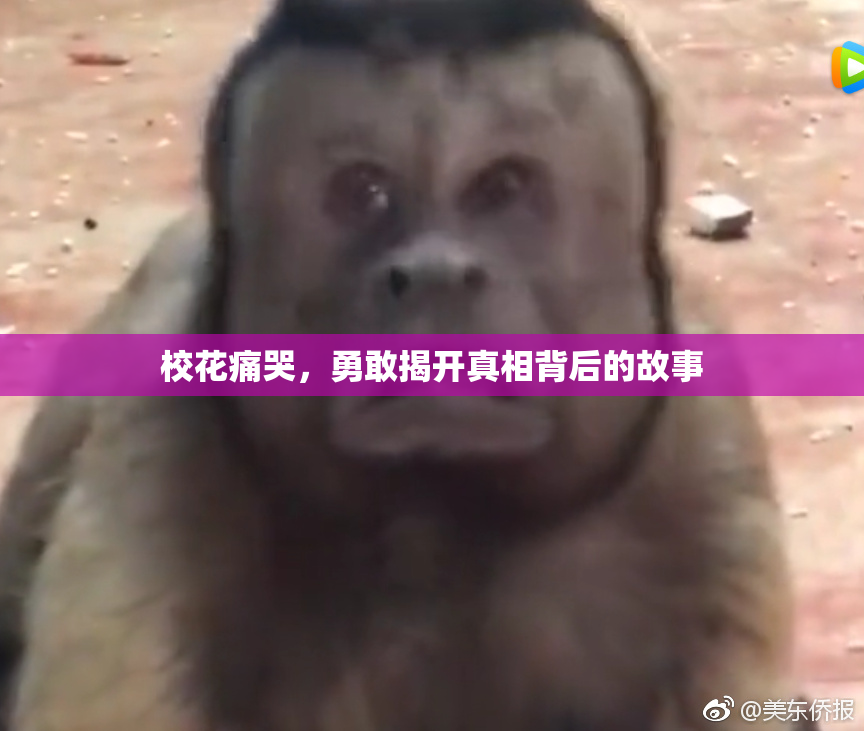校花痛哭，勇敢揭开真相背后的故事
