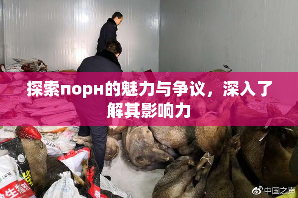 探索порн的魅力与争议，深入了解其影响力