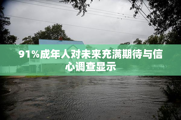 91%成年人对未来充满期待与信心调查显示